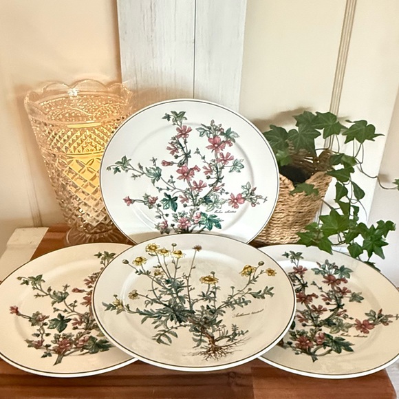 SET/4 Villeroy & Boch,”Botanica Collection”,10.5” Dinner Plates,Anthemis & Malva - Picture 4 of 15